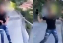 VIDEO: indigna caso de adolescente que arrojó a un gatito por un puente en Italia