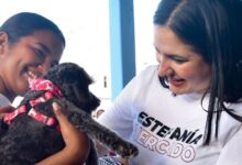 Anuncian clínica de bienestar animal en Playa del Carmen: Estefanía Mercado