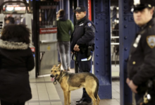 Dos mexicanas son arrojadas a las vías del Metro en Nueva York por una mujer con largo historial criminal