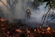 Incendio en São Paulo, Brasil.