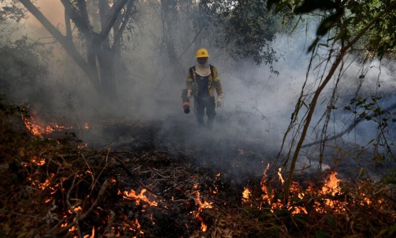 Incendio en São Paulo, Brasil.