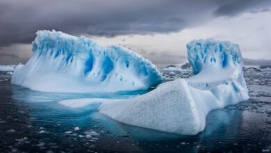 Horas de terror: turistas quedan atrapados dentro de un glaciar, hay un muerto y dos desaparecidos