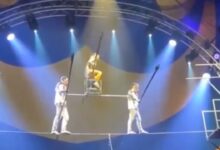 IMÁGENES FUERTES: acróbata de circo cae de la cuerda floja durante su presentación y desata pánico entre los asistentes