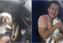 "Si se pone gruñón ponle pechera": la carta de despedida a un perrito abandonado en taxi, conductor termina adoptándolo