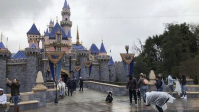 Tragedia en Disneyland: intentan desestimar homicidio porque la pareja de la víctima se suscribió a un servicio