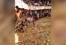 VIDEO: joven de 17 años muere tras ser embestido brutalmente por un toro durante corrida