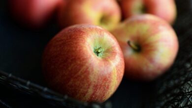 ¿Sabías que debes comer una manzana todas las noches antes de dormir?