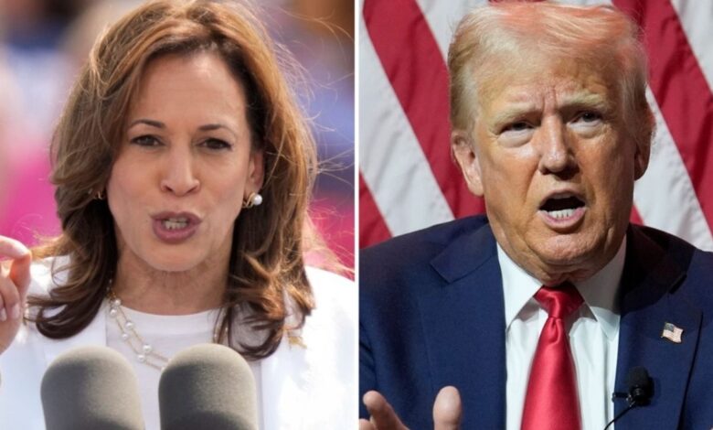 Donald Trump y Kamala Harris en empate técnico, expertos revelan las claves del proceso electoral en Estados Unidos