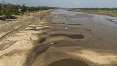 El cauce seco de un río em Brasil.