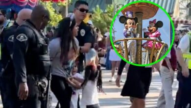 VIDEO: Madre es arrestada en Disneyland mientras sus hijas lloran y piden ayuda