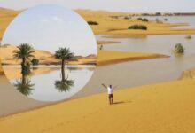 El desierto del Sahara queda bajo el agua en IMÁGENES espectaculares