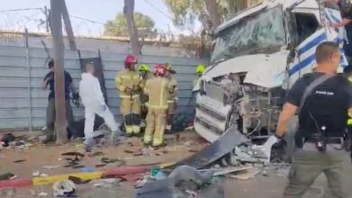 FOTOS IMPACTANTES: camión arrolla a más de 40 personas que esperaban un autobús, testigos asesinan al conductor