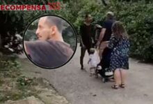 Ofrecen millonaria recompensa por el hombre que golpeó a un bebé cuando paseaba con sus padres