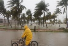 "Si se quedan, se van a morir": así alertaron a los habitantes de Florida ante huracán Milton categoría 5