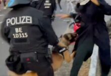 VIDEO: policía echa los perros a manifestantes pro Palestina que creen que los canes son impuros