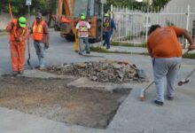 Avanza bacheo con fuerza todos los días en Playa del Carmen y Puerto Aventuras