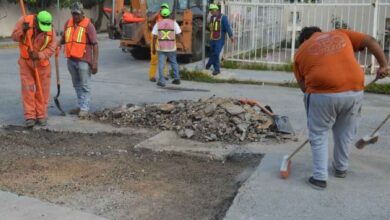 Avanza bacheo con fuerza todos los días en Playa del Carmen y Puerto Aventuras