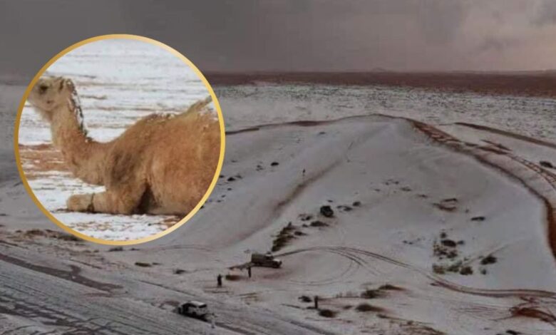 Desierto de Arabia vuelve a ser de hielo, ahora la nieve cubre otra región por primera vez