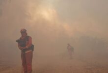 Evacúan a decenas de familias ante el avance de un incendio forestal