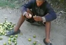 Lo obligan comerse el costal de limones que robó para no cortarle las manos: VIDEO