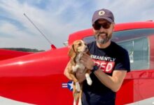 Piloto rescata a cientos de perritos víctimas de maltrato y su avión se estrella, todos mueren