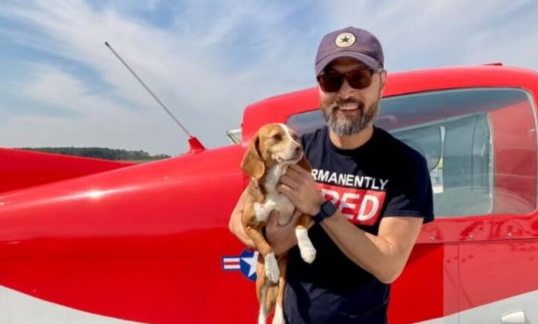 Piloto rescata a cientos de perritos víctimas de maltrato y su avión se estrella, todos mueren