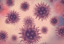 Autoridades encienden ALERTAS por Norovirus, causa una enfermedad mortal altamente contagiosa