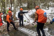 Dos hombres iniciaron una expedición para buscar a Pie Grande en el bosque y aparecieron muertos días después