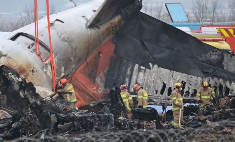 Esta fue la razón por la que se estrelló el avión en Corea del Sur con saldo de 176 víctimas fatales