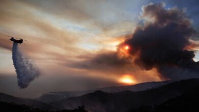 Fuerte incendio forestal obliga a evacuar a más de 20 mil personas | FOTOS