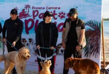 Gobierno de Solidaridad realiza la “Primera Carrera Patitas en la Playa”