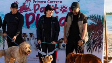 Gobierno de Solidaridad realiza la “Primera Carrera Patitas en la Playa”