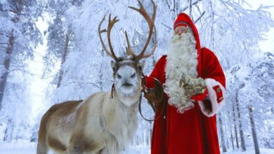 Papa noel y uno de sus renos