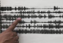 Se registra terremoto magnitud 7.3 en Vanuatu; activan la alerta de tsunami