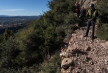 Flores en el lugar de Montserrat donde murió Isak Andic, fundador de Mango