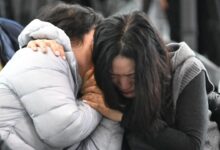 Un segundo avión aterriza de emergencia en Corea del Sur a pocas horas de la tragedia que dejó 179 muertos