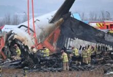 Una advertencia por aves y una llamada de auxilio: Los ÚLTIMOS MINUTOS del avión en Corea del Sur que dejó 179 muertos