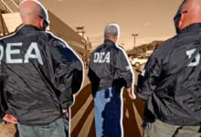 El poder que Donald Trump le dio al FBI y a la DEA para arrestar inmigrantes