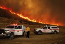 Evacúan a 50,000 por nuevos incendios en California; VIDEOS exhiben paisajes apocalípticos