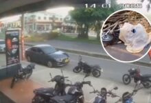 Motociclista muere en plena calle tras ser aplastado por un enorme árbol | VIDEO FUERTE