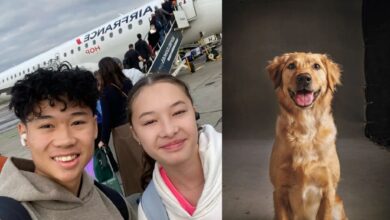 PERRO le salva la vida a patinador artístico; no lo dejaron abordar el avión siniestrado por su mascota