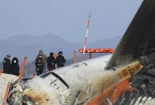 Por qué solo hay 2 sobrevivientes del accidente aéreo en Corea del Sur, expertos explican impactante teoría