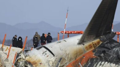 Por qué solo hay 2 sobrevivientes del accidente aéreo en Corea del Sur, expertos explican impactante teoría