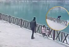 Tomaba FOTO a su hija y cae de puente hacia un lago, así fue el heroico rescate de su padre | VIDEO