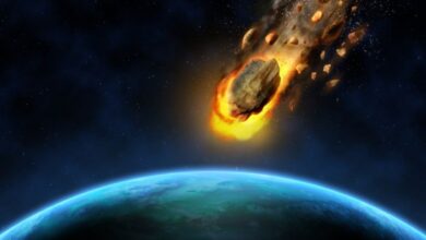 NASA publica PRIMERAS IMÁGENES de un asteroide del tamaño de una ciudad que podría impactar la TIERRA