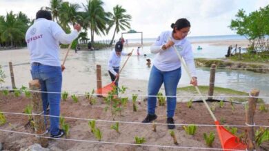 Restaura Gobierno de Solidaridad dunas en Punta Esmeralda y promueve el cuidado ambiental