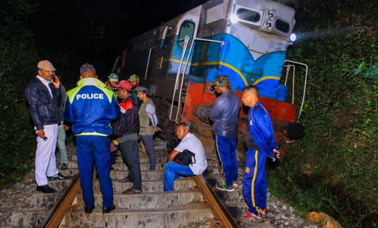 Tren arrolla a una familia de elefantes, mueren seis | FOTOS