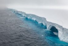 Un fragmento de hielo del tamaño de París se desprende del iceberg más grande del mundo